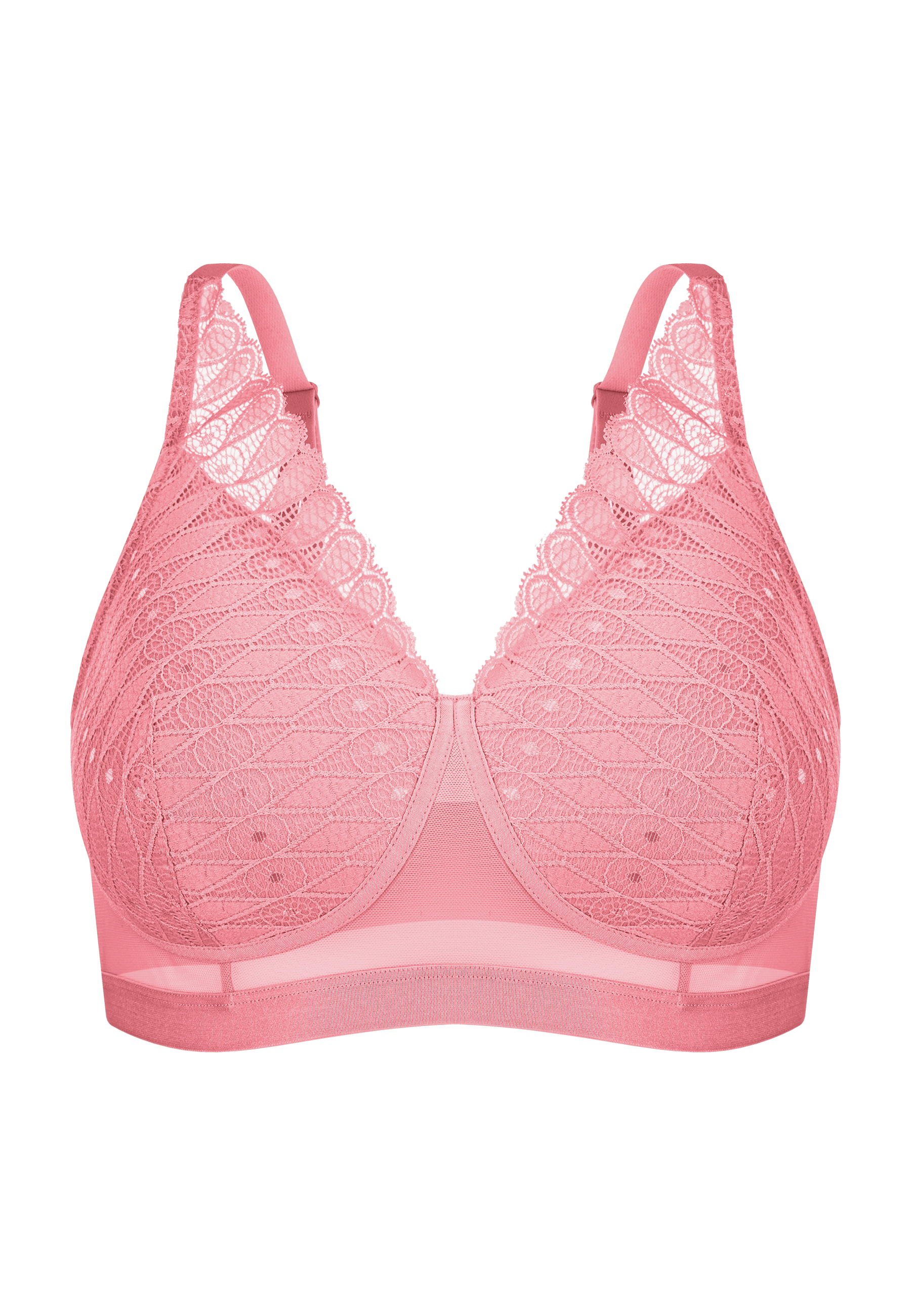 Prothesebh Megami Roze